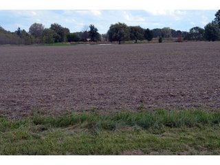 Property photo 38 - EHLE FARMS AUCTION - 118+/- ACRES IN 9 TRACTS IN ALLEN COUNTY, INDIANA